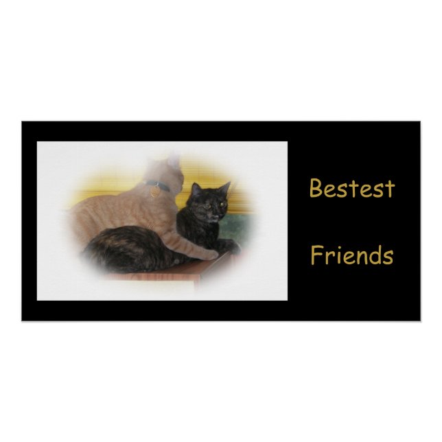 Bestest Friends Poster (Front)