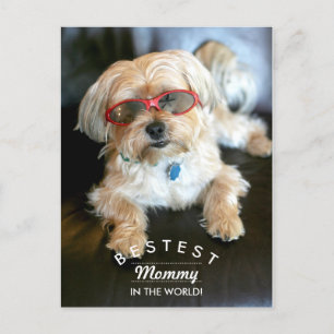 Bestest Mommy Custom Doggie Mother's Day Postcard