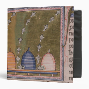 Bestiary Three curved lines Binder