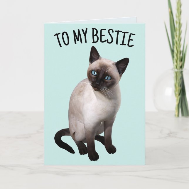 BESTIE FRIEND SIAMESE CAT BIRTHDAY Greeting Card (Front)