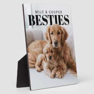 Besties Pets PhotoPop Plaque