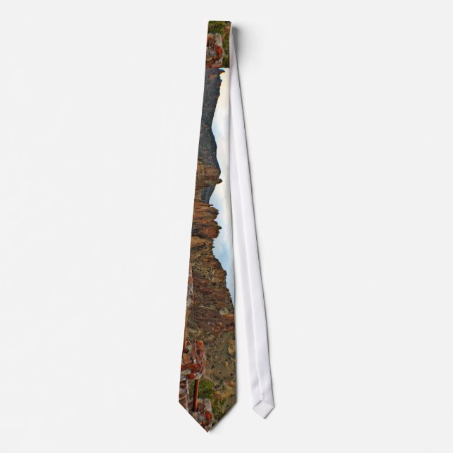 Bestselling Oregon Themed Tie (Front)