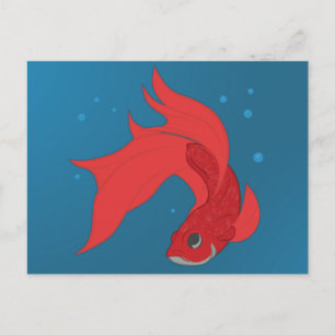 Beta Fish Postcard