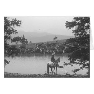 Bétail par un étang avec deux cowboys