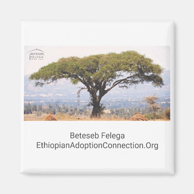 Beteseb Felega Kitchen Magnet (Front)