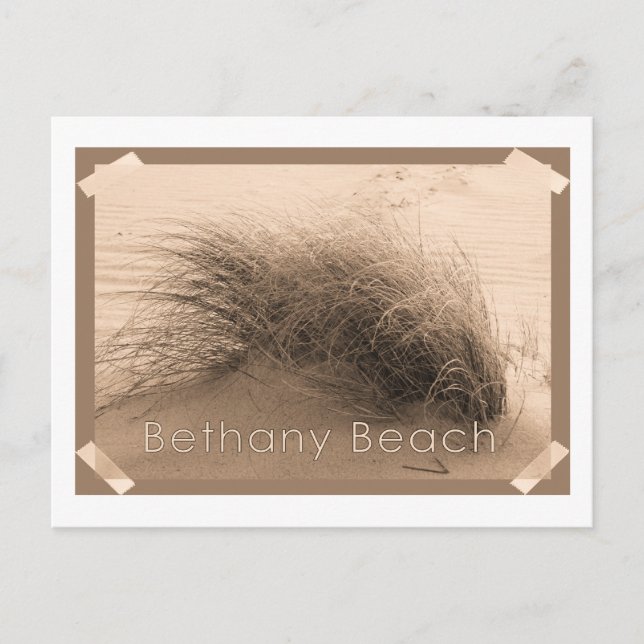 Bethany Grass Postcard (Front)