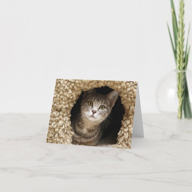 Betsy Ross Thank You Card (Front)