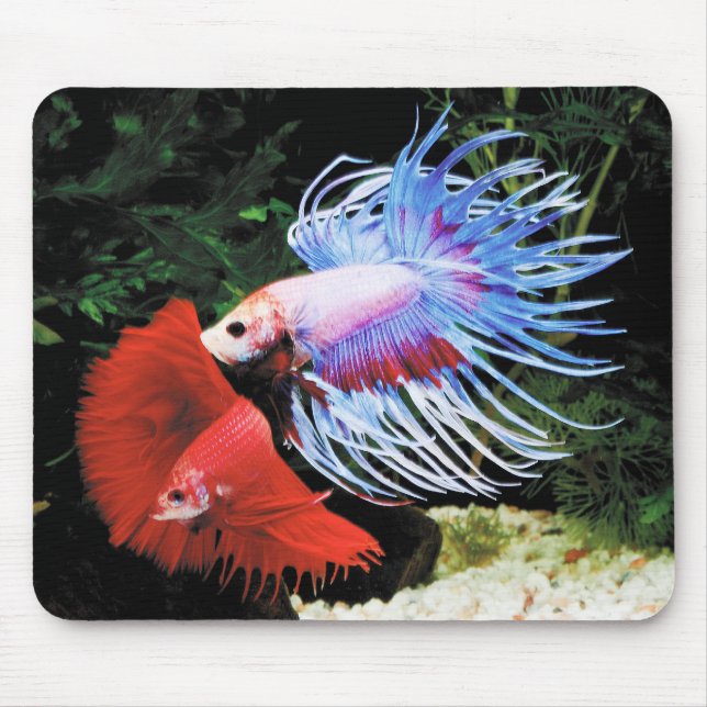 Bettaのマウスパッド,No.09 Mouse Pad (Front)