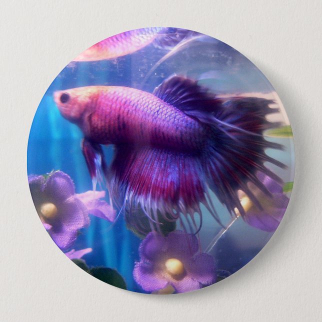 Betta Button (Front)