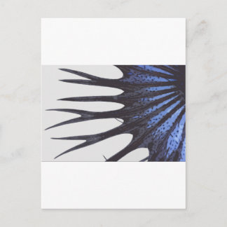 Betta crowntail postcard