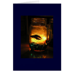 Betta dans un pot