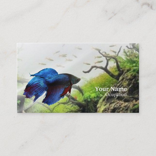 Betta Fish Business Card (Front)