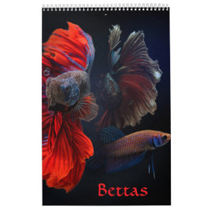 Betta fish Calendar