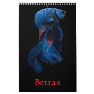 Betta fish Calendar