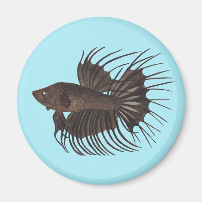 Betta Fish Magnet (Front)