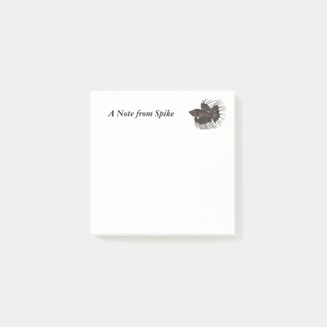 Betta Fish Notes (Front)