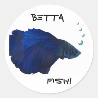 Betta Fish Sticker