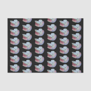 Betta Fish Tissue Paper