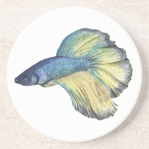 Betta Fish Watercolor Coaster