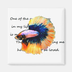 betta MAGNET