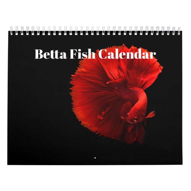 Bettafish 2027 calendar (Cover)