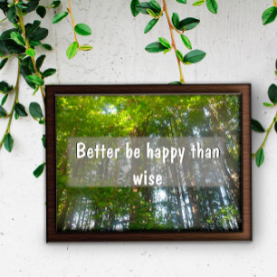 Better be happy than wise Inspirational poster