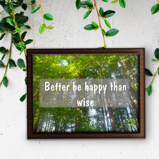 Better be happy than wise Inspirational poster (Creator Uploaded)