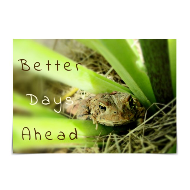 "Better Days Ahead" Thoughtful Toad Card (Creator Uploaded)