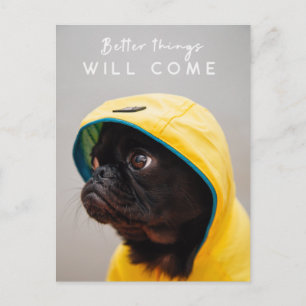 Better Things will Come Pug Dog Cute Raincoat Postcard