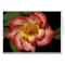 Betty Boop Card
