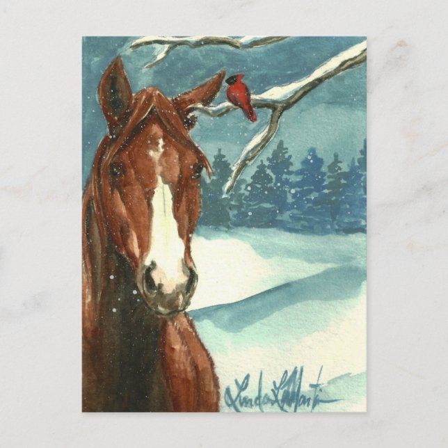 Between Friends Wild Horse Post Card (Front)