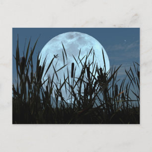 Between Moon and Marsh Postcard
