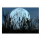 Between Moon and Marsh Poster