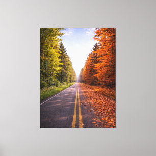 Between Seasons – The Road of Choice  Canvas Print