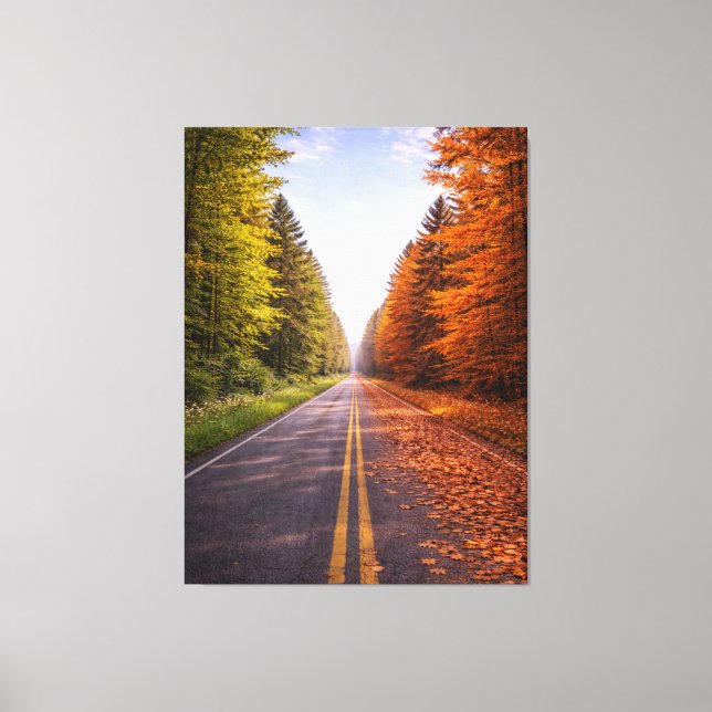 Between Seasons – The Road of Choice  Canvas Print (Front)
