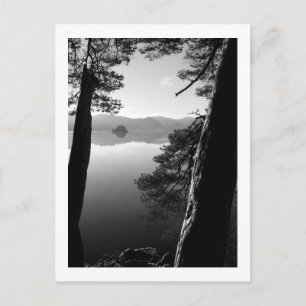 Between the Pines, Keswick Postcard