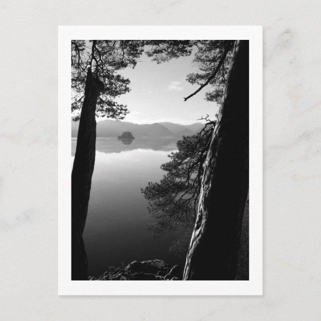 Between the Pines, Keswick Postcard (Front)
