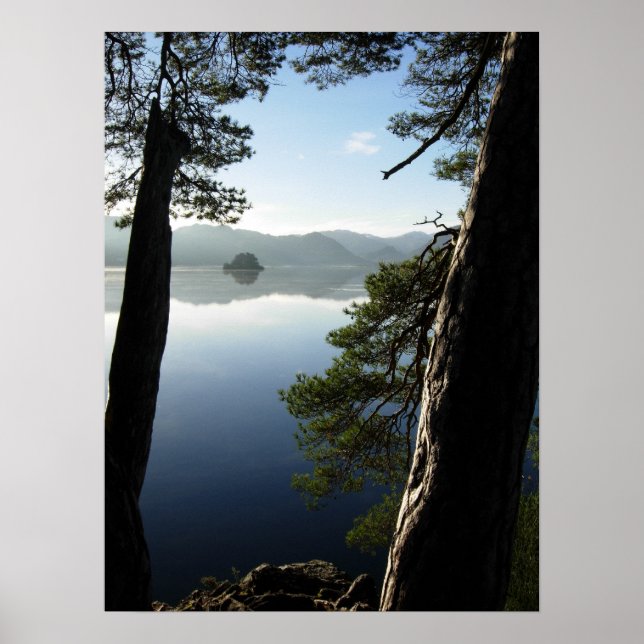 Between the Pines Poster (Front)