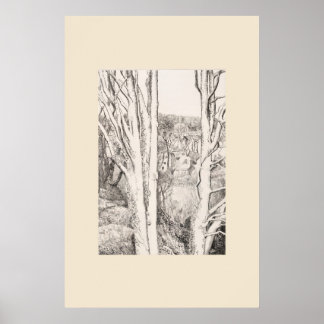 Between the Trees Cornwall Eleanor Hughes Restrike Poster