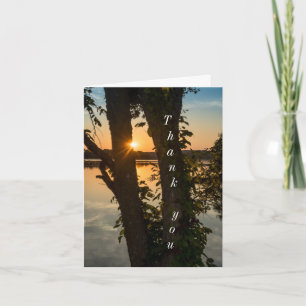 Between The Trees Sunrise Thank you Card