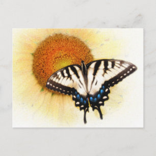 Beurre ailes, carte postale
