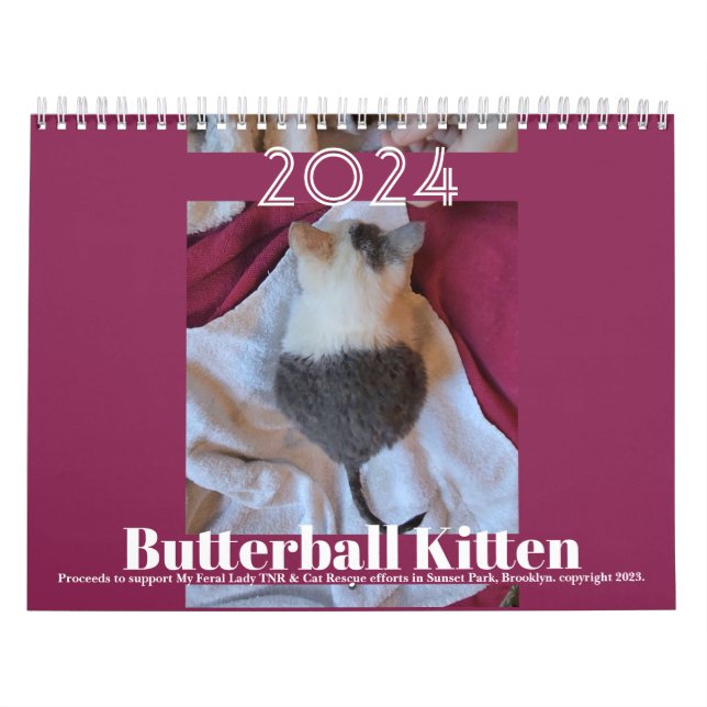 Beurre-boule Kitten : Calendrier 2024 (Protection)