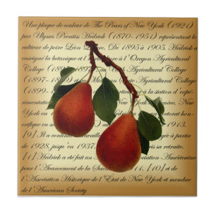 Beurré Clairgeau Pear ~ Ulysses Prentiss Hedrick ~ Tile