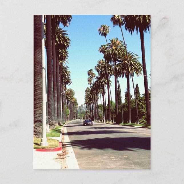 Beverly Hills Postcard (Front)