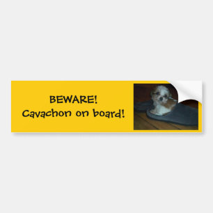 BEWARE! Cavachon on board! Bumper Sticker. Bumper Sticker