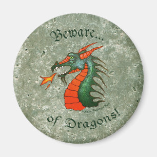 Beware Dragons Stone Green Magnet