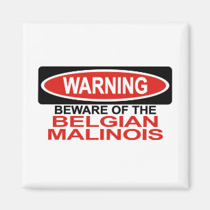 Beware Of Belgian Malinois Magnet