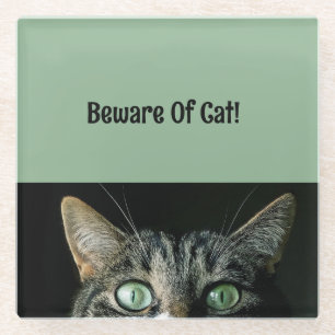 Beware Of Cat Green Glass Coaster