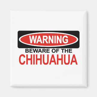Beware Of Chihuahua Magnet