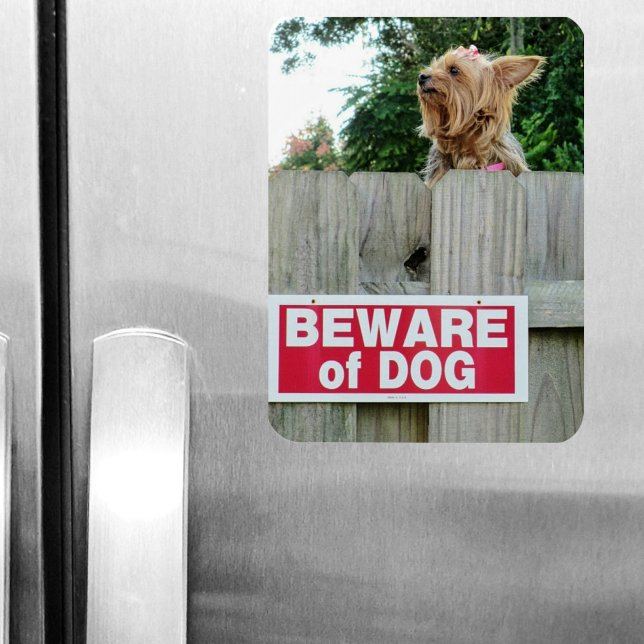 Beware of Cute Little Dog Magnet (Creator Uploaded)